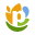 Digital Lync alumni placed at PepsiCo